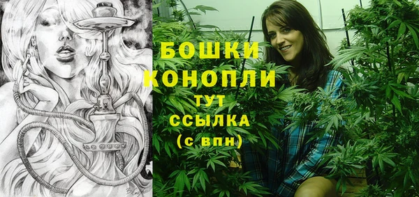прущие крисы Вязьма